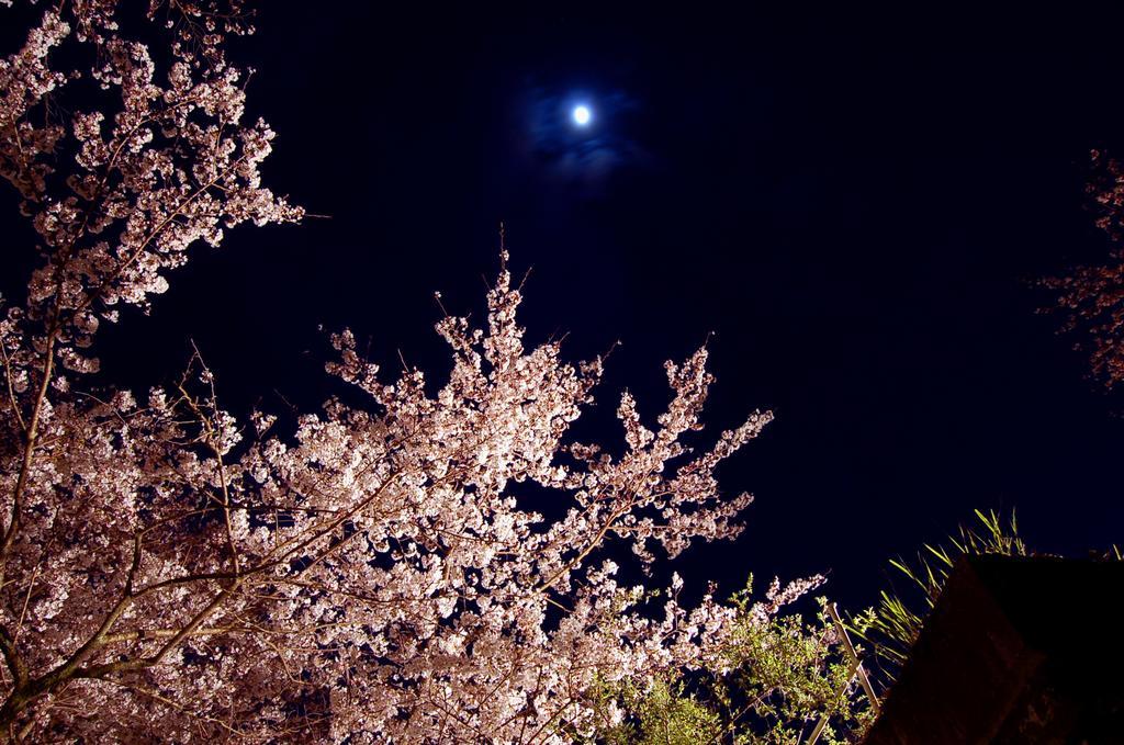 Hoeiso Hakone Bagian luar foto